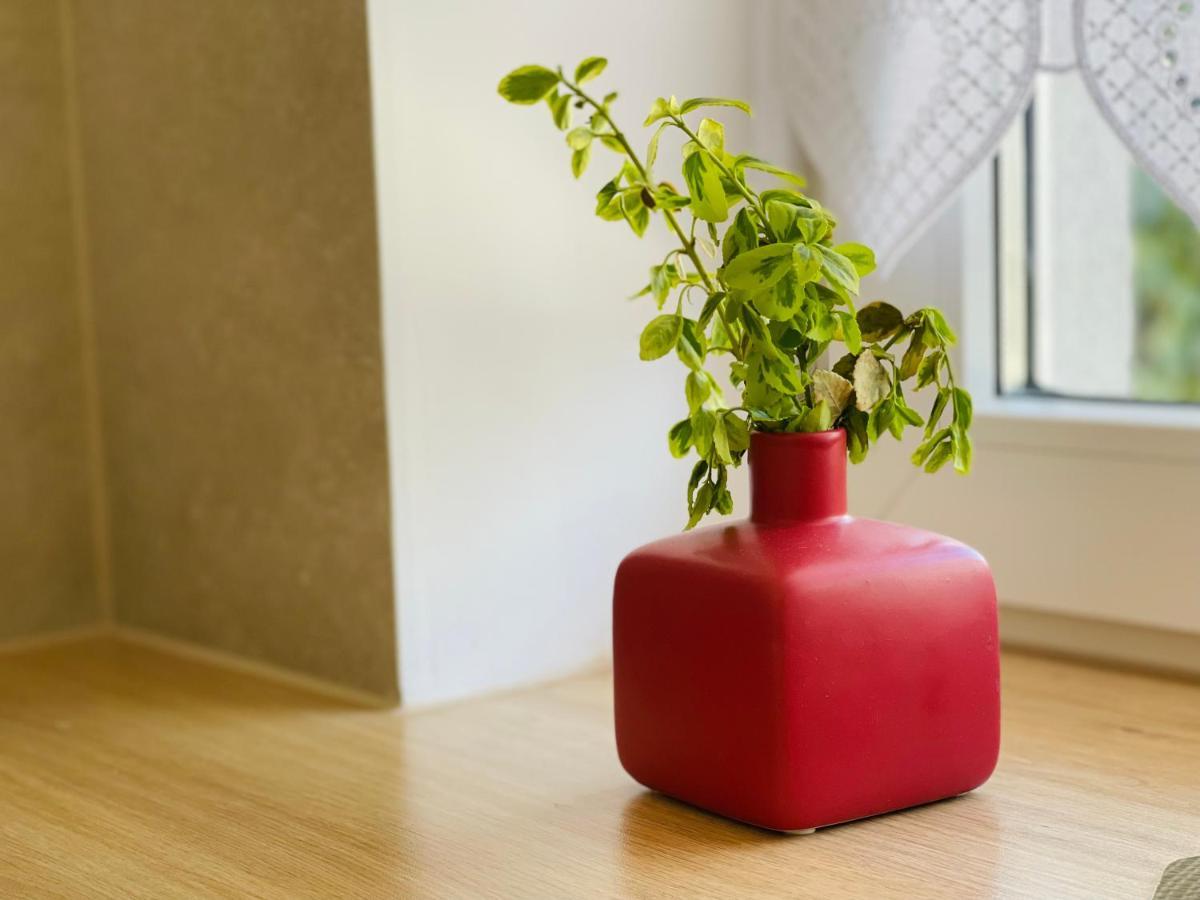 Dwie Sowy By Baltic Home Miedzyzdroje Esterno foto